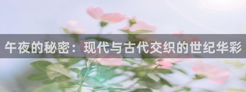 电视剧那片星空那片海2