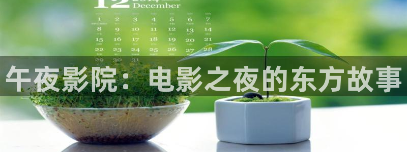 星空无痕mv免费观看高清