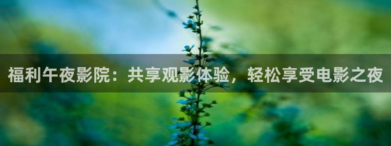 星空无限传媒影视在线观看