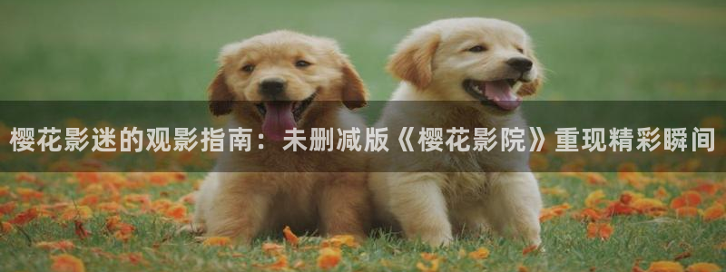 精东影业高清完整版