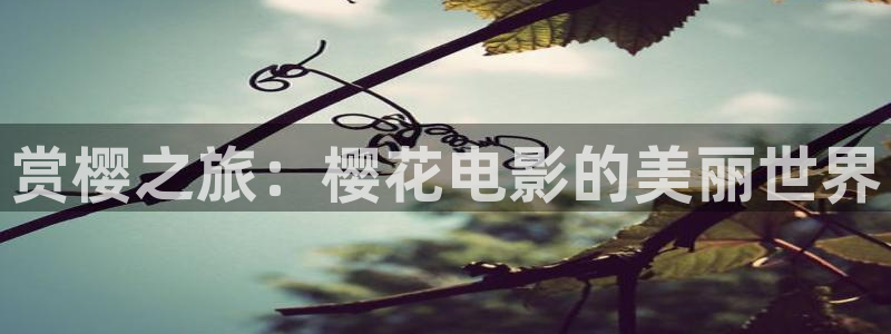 精东影业在线