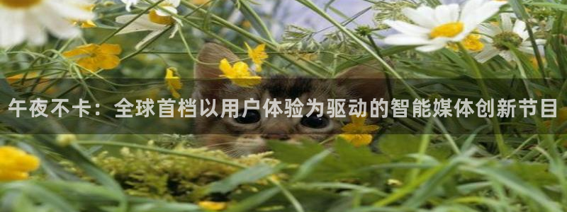 星空观看