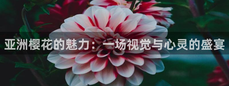 刘老根5免费看全40集精东影业