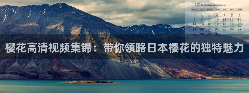 星空电影高清完整版在线观看
