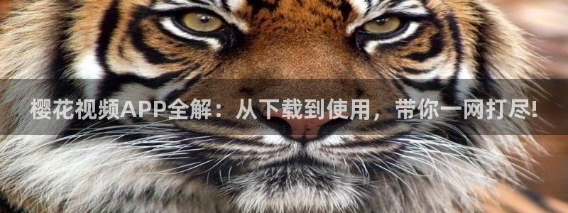 星空影视电影在线观看免费高清