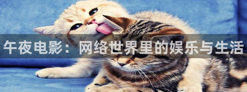 星空电影直播