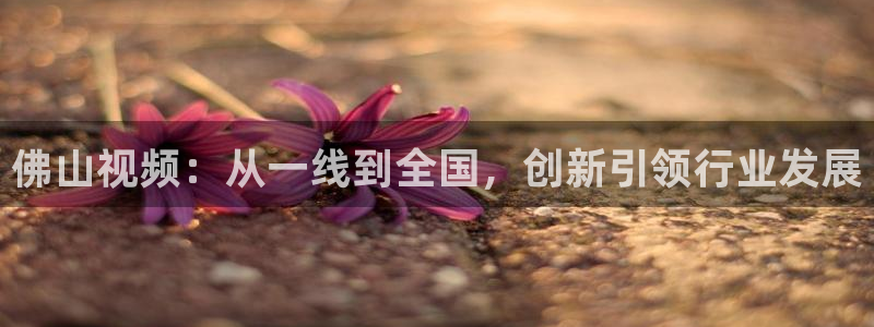 星空影视免费在线观看