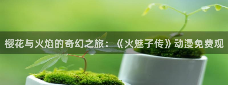 星空精东影业免费观看电影