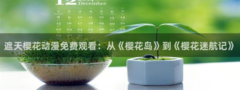 缘之空精东影业