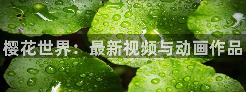 关于星空的