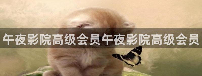 星空视频在线观看完整免费