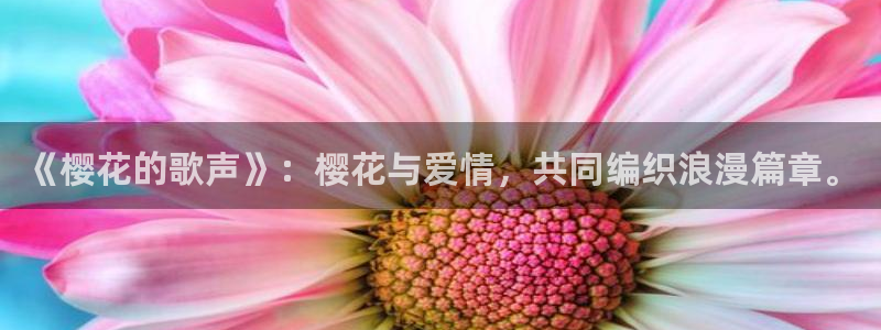 星空影视在线播放