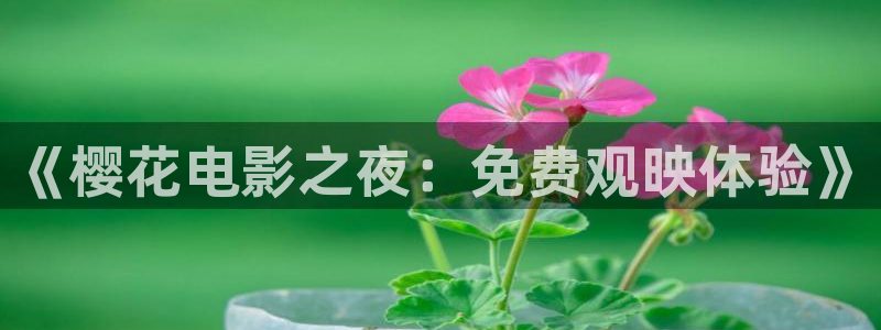 星空日本影院