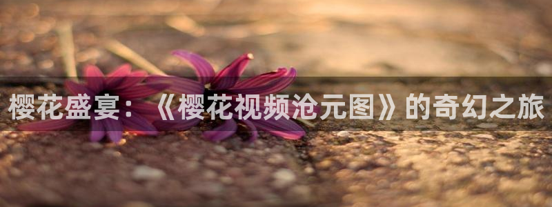 星空传媒观看