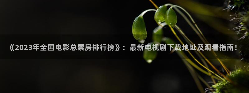精东影业免费在线看电影