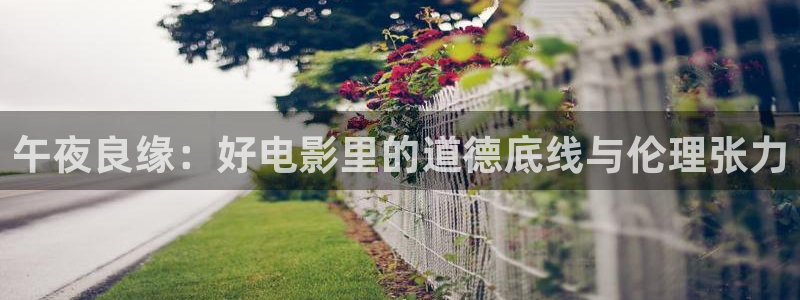 星空影视院