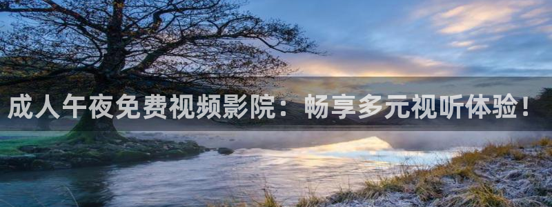 星空传媒影片