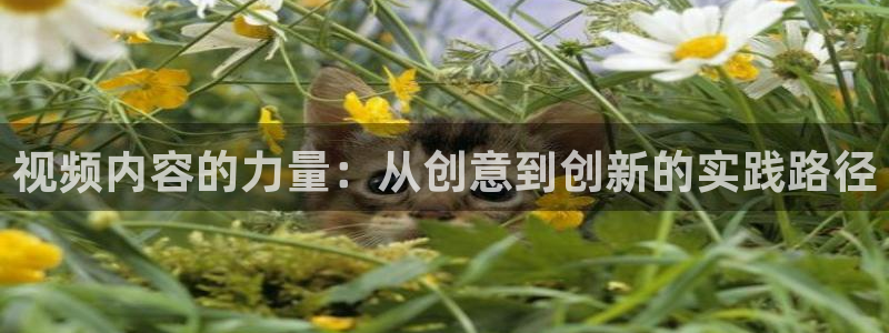 星空传媒 在线观看