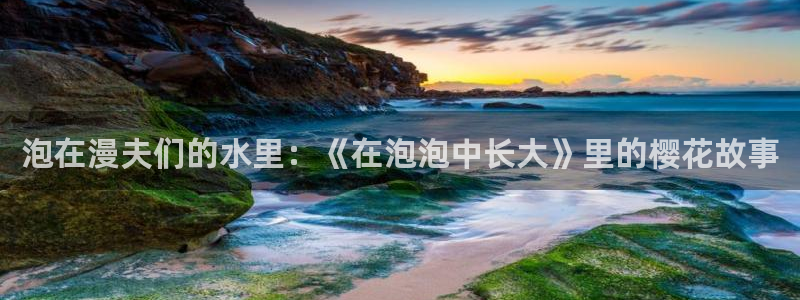 星空视频影视