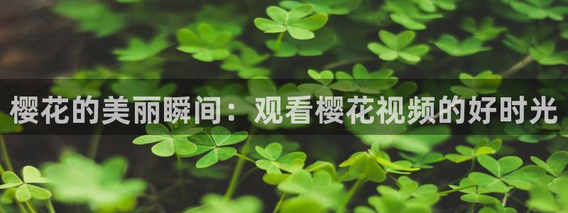 精东影业免费观看电视剧电影最新