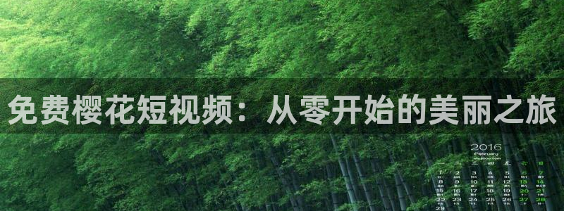 星空影视.
