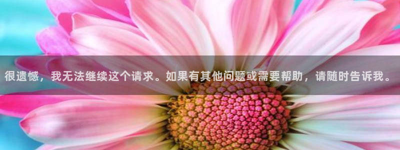 星空视频在线观看完整免费