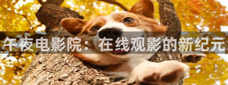 琅琊榜精东影业