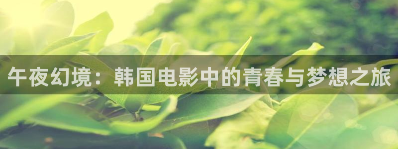 星空影视在线观看免费播放电视剧