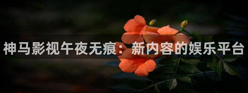 星空无限传媒免费观看电影