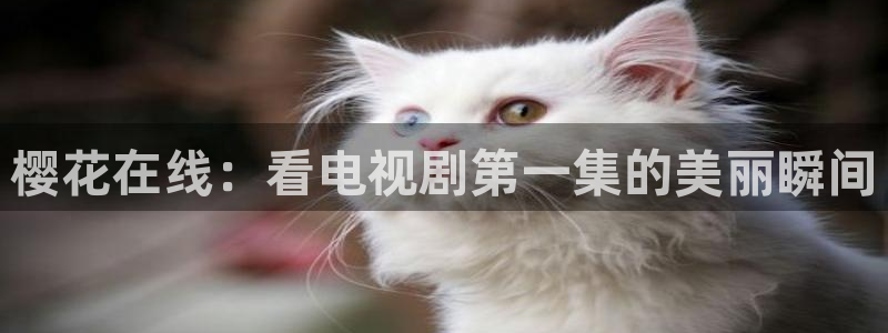 精东影业怎么免费看电影