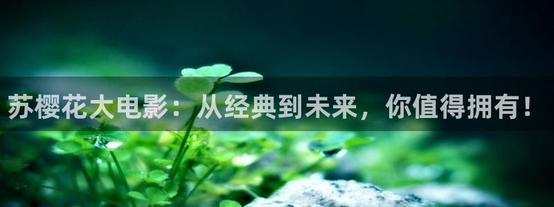 星空无限影院在线观看全集