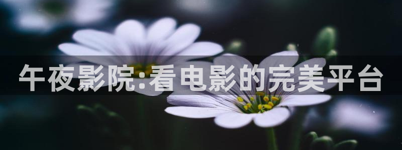 妈妈的朋友星空影视