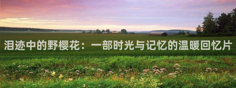 星空影视vip破解版