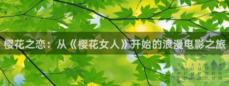 星空旅馆