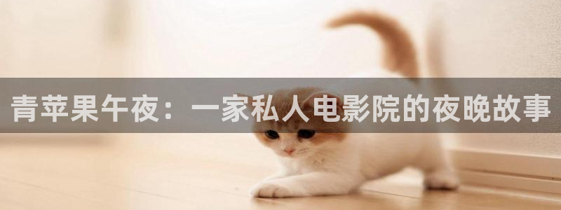 星空传媒高清在线观看
